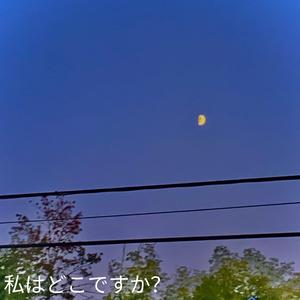 私はどこですか？