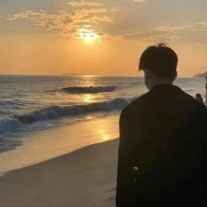 叶隙间洒落的阳光