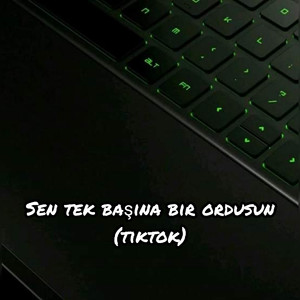 sen tek başına bir ordusun (tiktok)