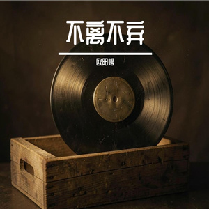《不离不弃》