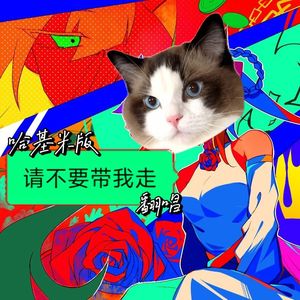 请不要带哈基走。