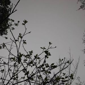 小雨（爱是一个无人问津的秘密）