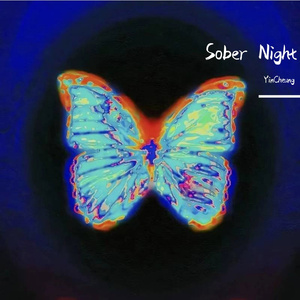 Sober Night