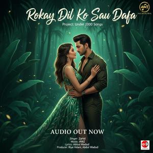 Rokay Dil Ko Sau Dafa