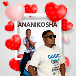 Ananikosha