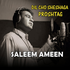 DIL CHO SHESHAGA PROSHTAG