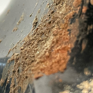 Syllabus (Instrumental Version)