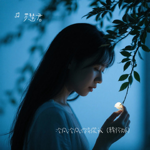 冷风冷风你别笑我（释怀版）