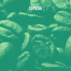 Capucha