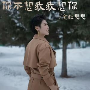 你不想我我想你 (DJ默涵版)