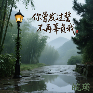 你曾发过誓不再辜负我