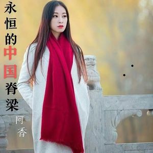 阿香-永恒的中国脊梁男声男声-成品-MMM终版