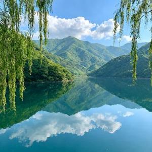 纳瓦吉瓦 (Cover 达桑嘉措)