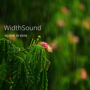 Alone in Rain