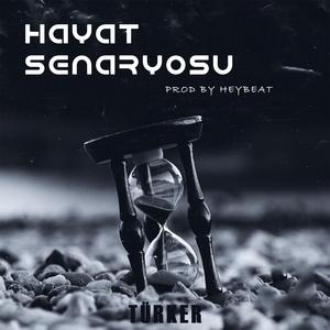 Hayat Senaryosu