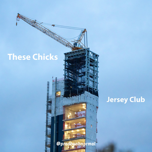 these chicks (alt remix)