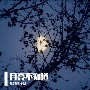 我想要属于我的月亮