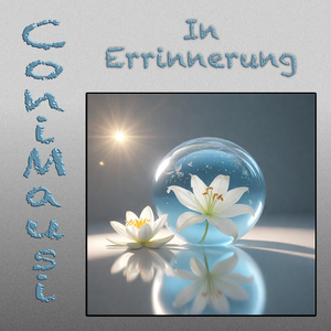 In Errinnerung