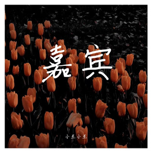 嘉宾（女生版）（翻自 张远）