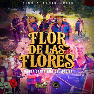 Flor De Las Flores