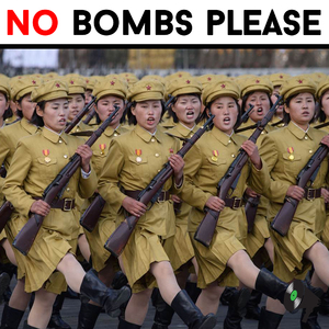 No Bombs Please