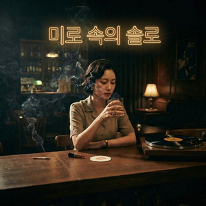 미로 속의 솔로