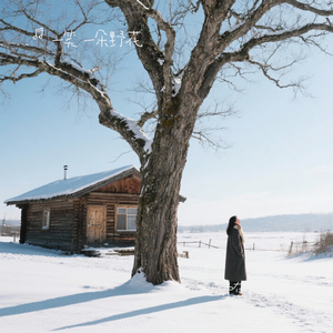 寒风中有春天的消息