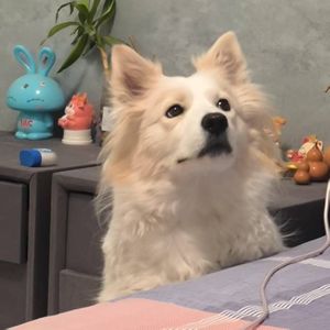 寻找失落的自己