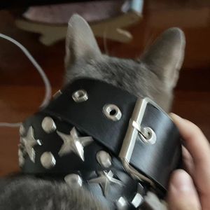 [Dreams]156Bbmaj@isojade@sogimura