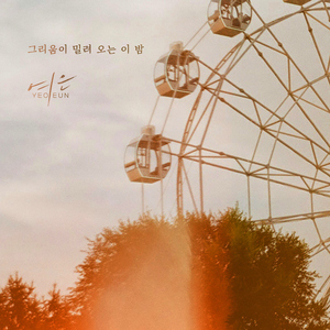 그리움이 밀려오는 이 밤