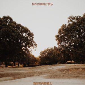 适合酒店时髦的音乐