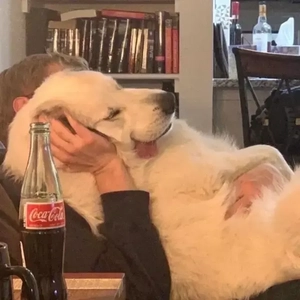 Yee-REMIX雪花（BRYANTYANG remix）