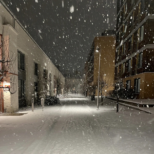 你想要的（ remix）