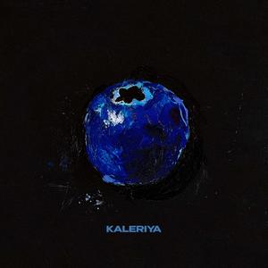 Вкус черники