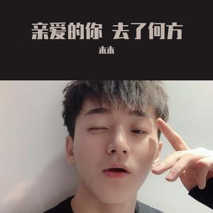 亲爱的你 去了何方 翻自 陈硕子