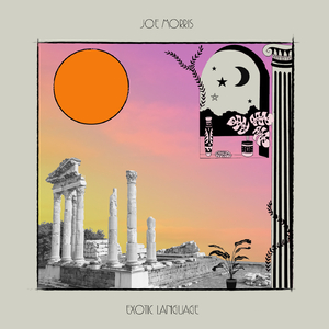 Acid Safari (Original Mix)