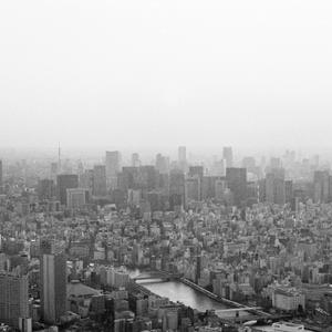 你的名字 - 二胡与扬琴（黄昏之时 - 新海诚动画电影《你的名字》插曲）