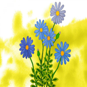 ブルーデイジー