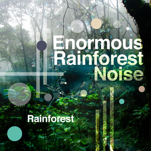The Rain Nest