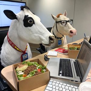 牛马一天开始啦