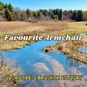 Alongside a Brackish Estuary