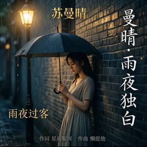 苏曼晴 - 雨夜过客