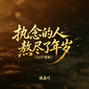 执念的人熬尽了年岁（DJ芒果版）