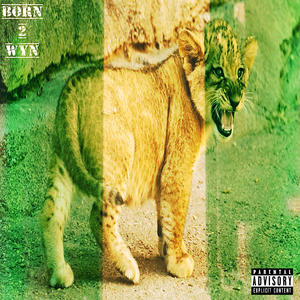 Born 2 Wyn