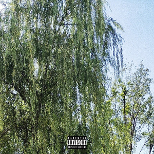 山林间（Prod.Averatec x @Phantom）