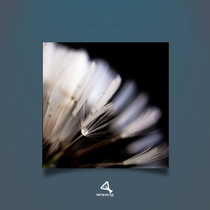 Atlas (Original Mix)