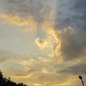 这一生关于你的风景(翻自 隔壁老樊）