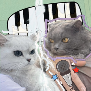 是谁偷走我的猫条