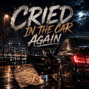 Cried In The Car Again