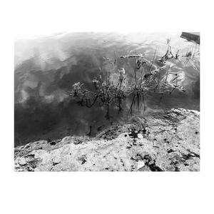 You didn't feed the birds